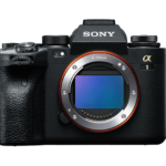 SONYα1のサンプル写真がSony a1 reviewに！